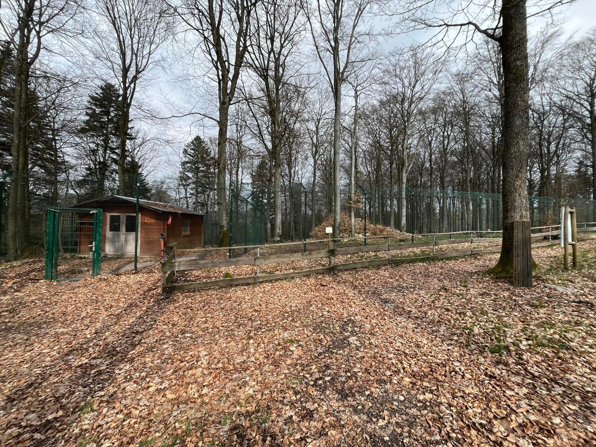 Hochwald Lodge Morbach Ngoại thất bức ảnh